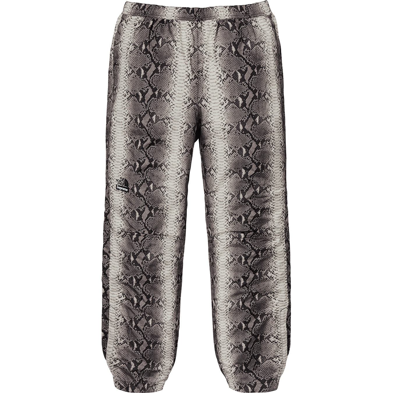 Supreme®/The North Face® Snakeskin Taped Seam Pant view 4